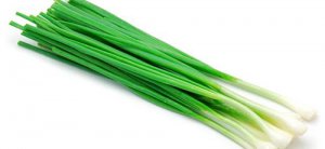 Выращивание ранней зелени: лук на зелень